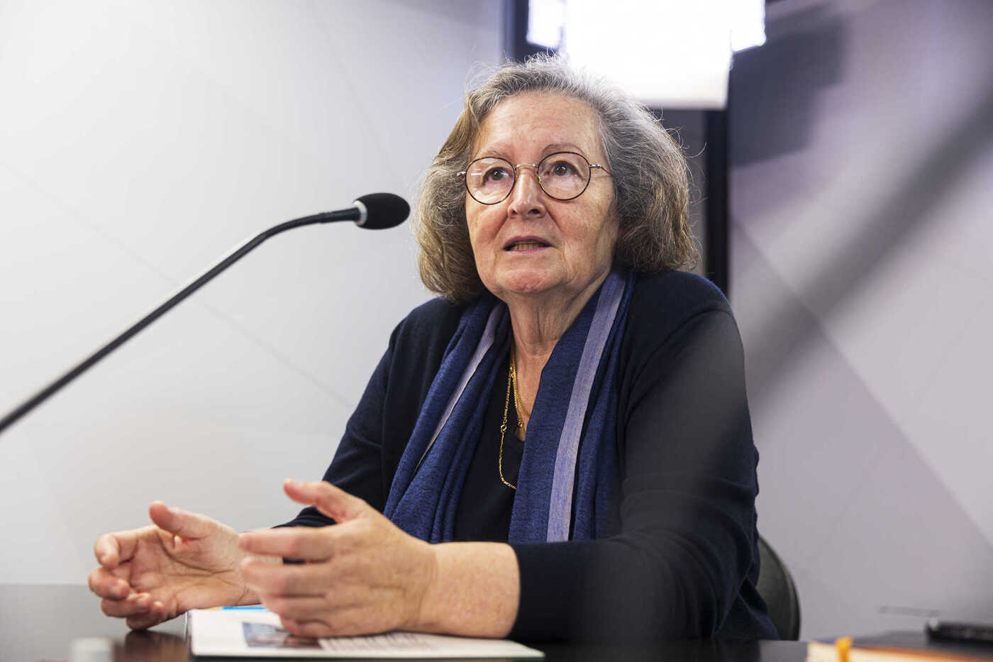 Maria de Lurdes Rodrigues: "Preocupa-me se a alternância política faz recuar o desenvolvimento da ciência"   